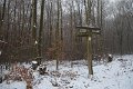 Wandertag 2017 - 020